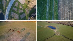 Photo montage en 4 quadres des rubrique photos