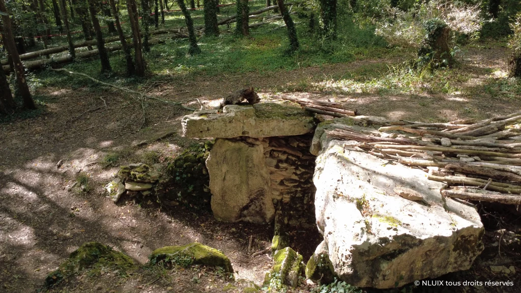 Vue du mégalithe avec gravure