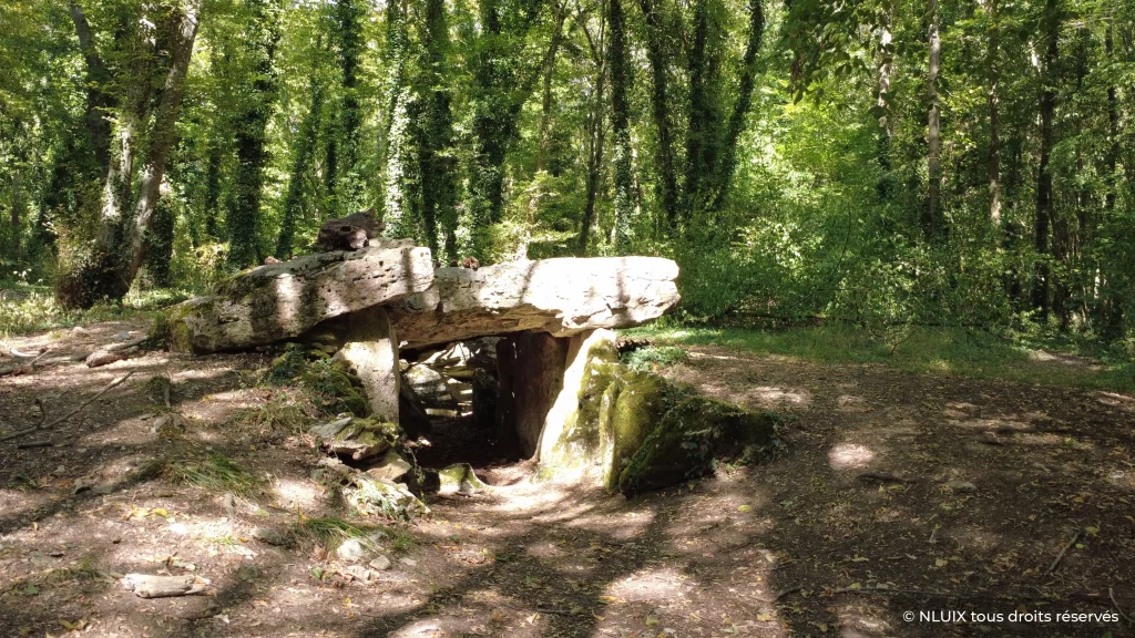 Entrée de la chambre