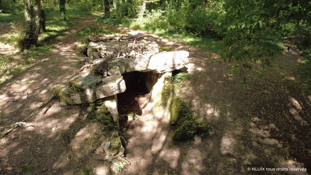 Entrée de la chambre vue du côté gauche